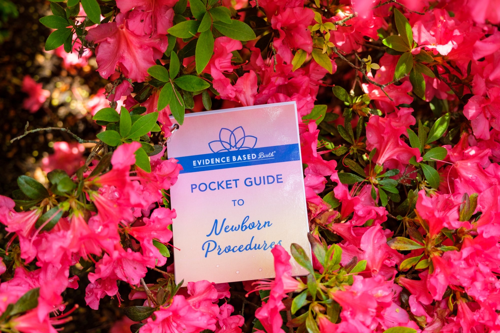 Evidence Based Birth® Pocket Guides