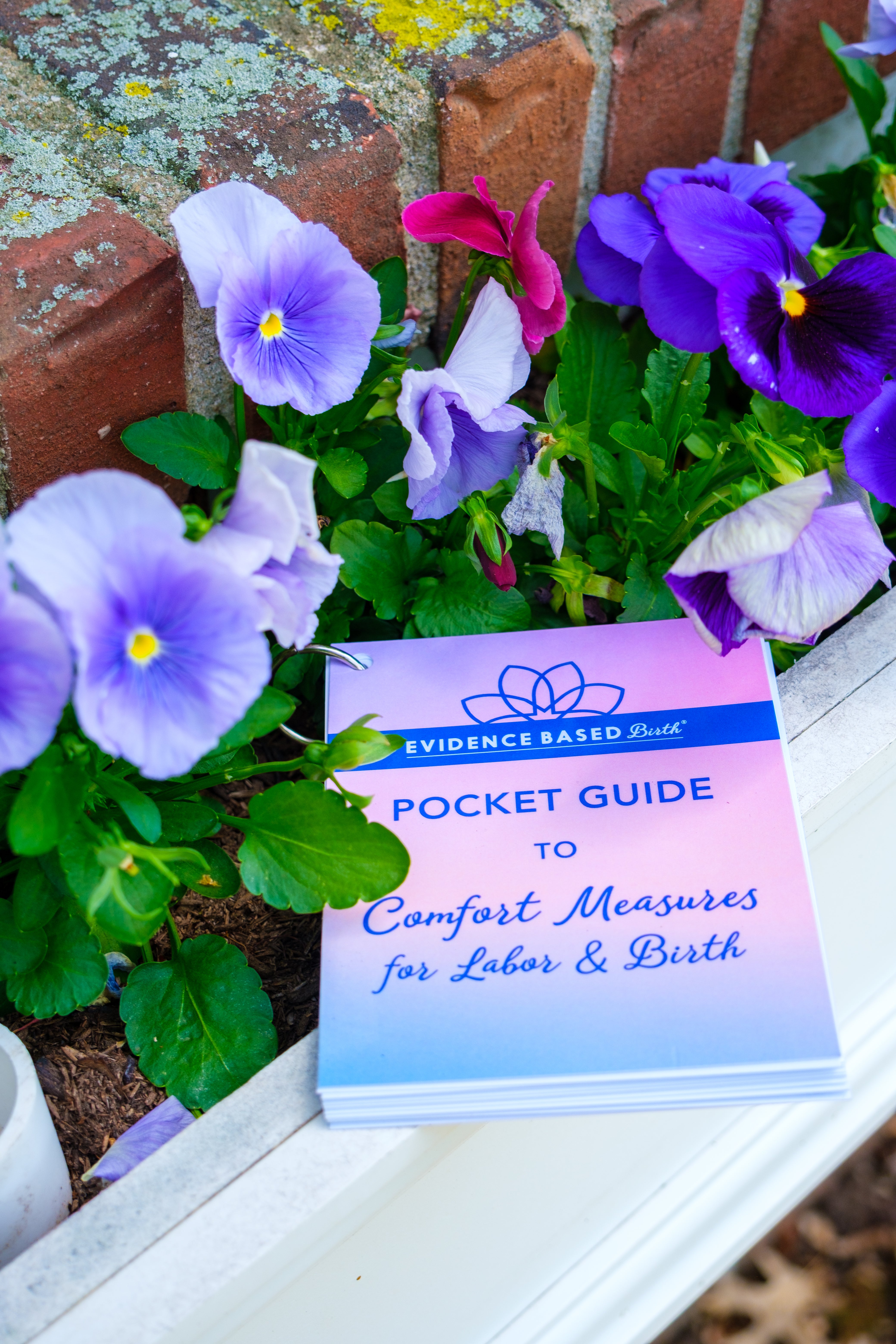 Evidence Based Birth® Pocket Guides