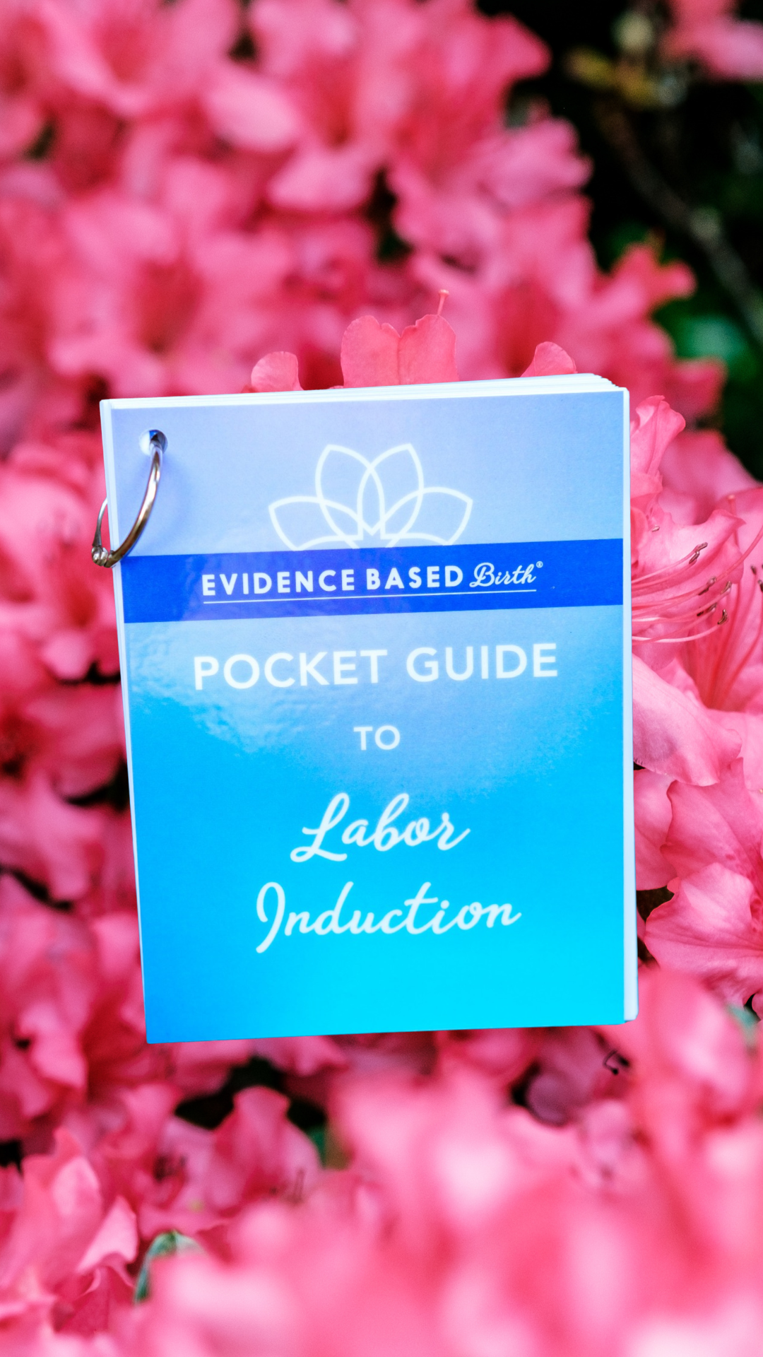 Evidence Based Birth® Pocket Guides