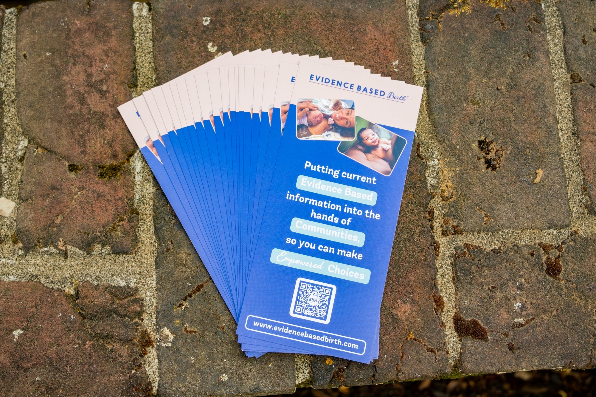EBB Rack Cards, Pack of 25