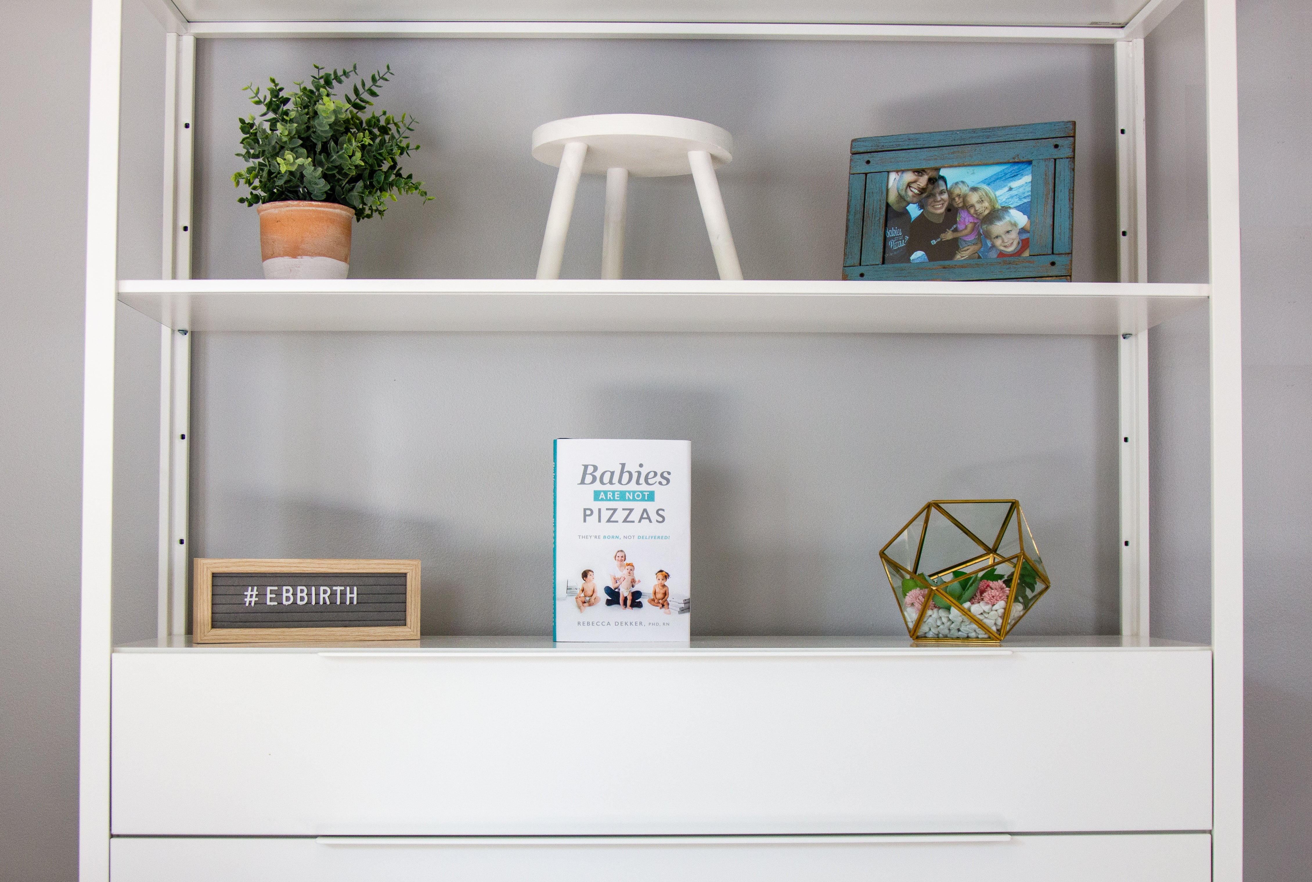 "Babies are Not Pizzas" Book