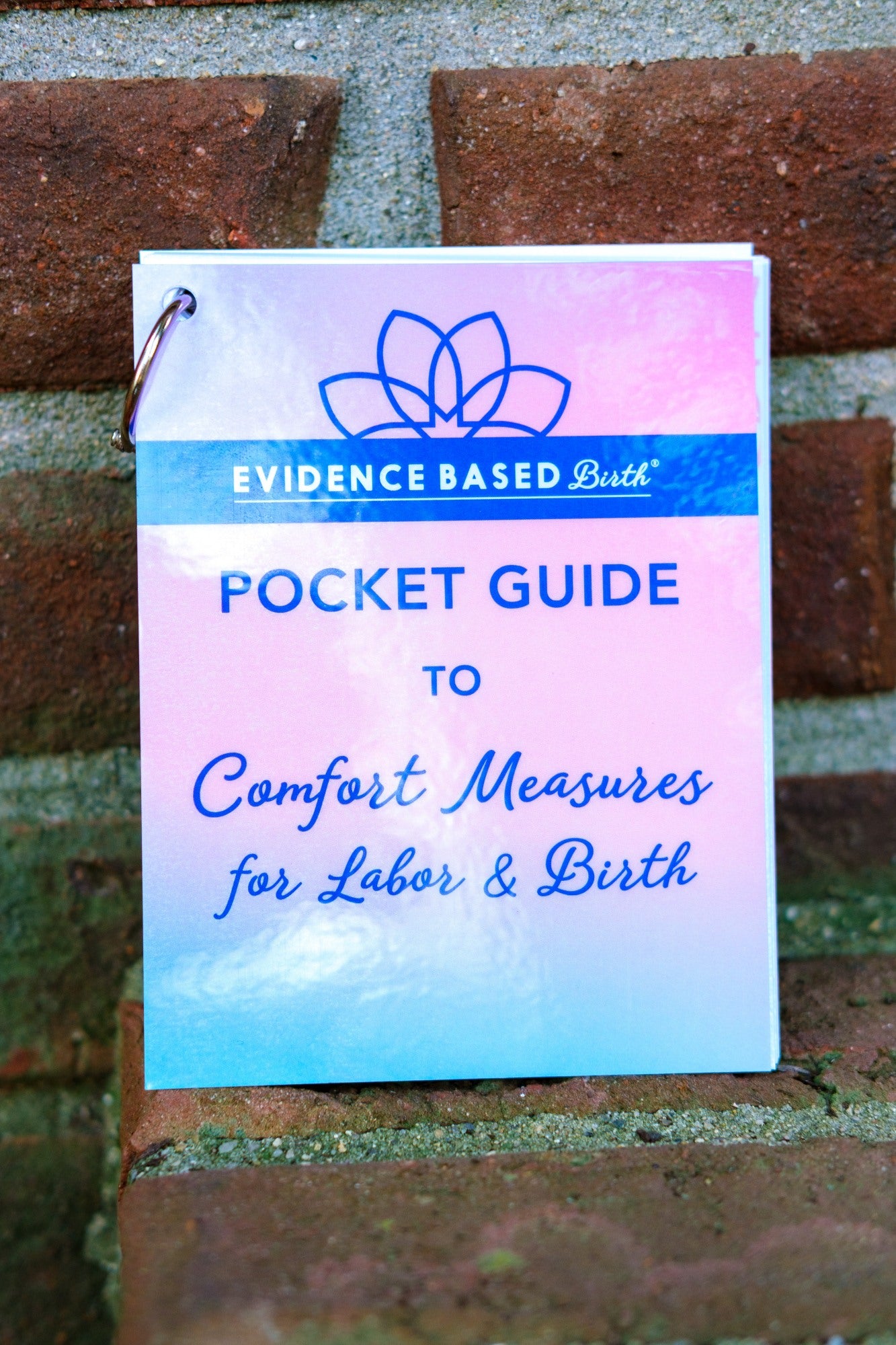 Evidence Based Birth® Pocket Guides