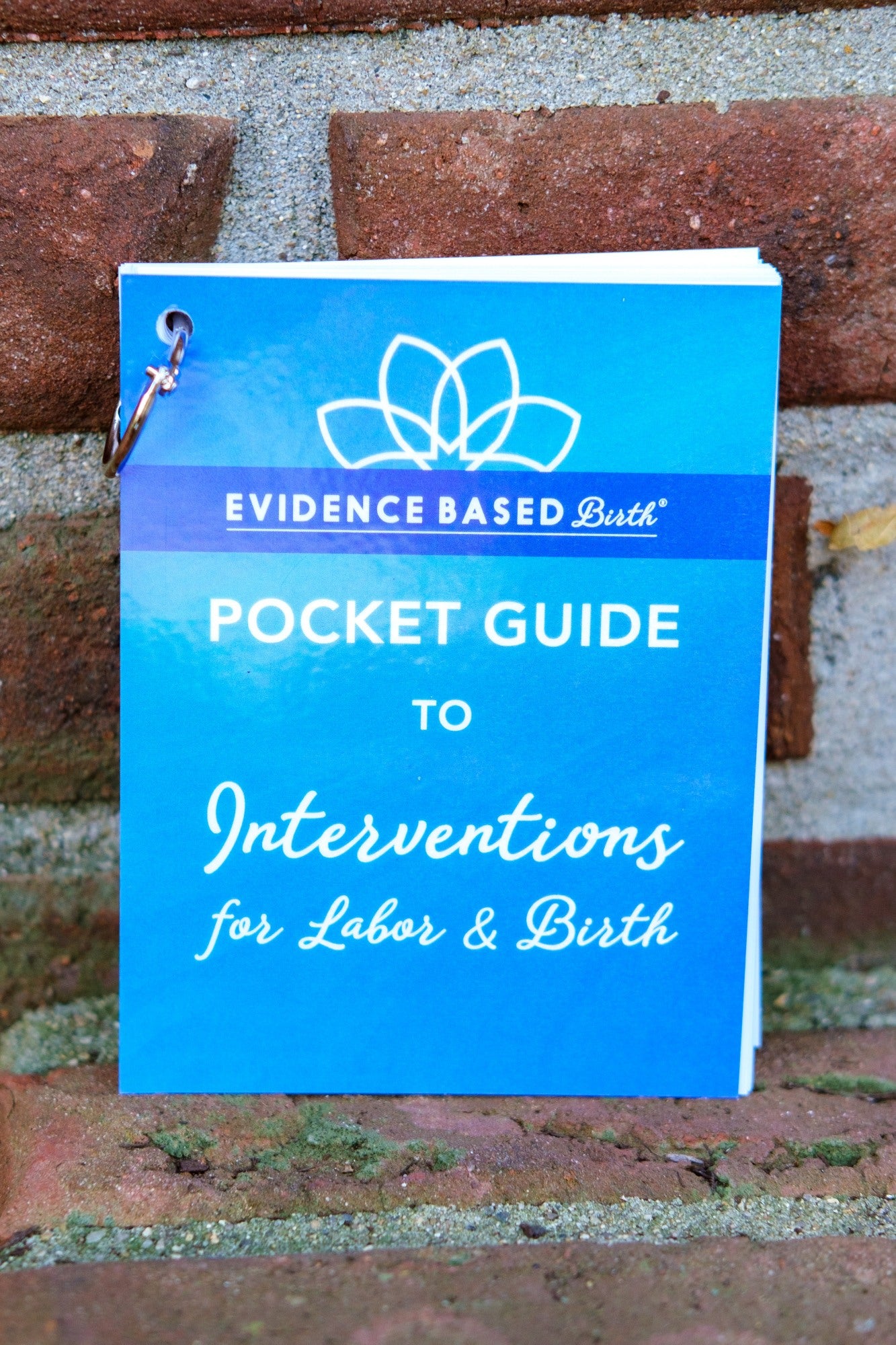 Evidence Based Birth® Pocket Guides (NEW)