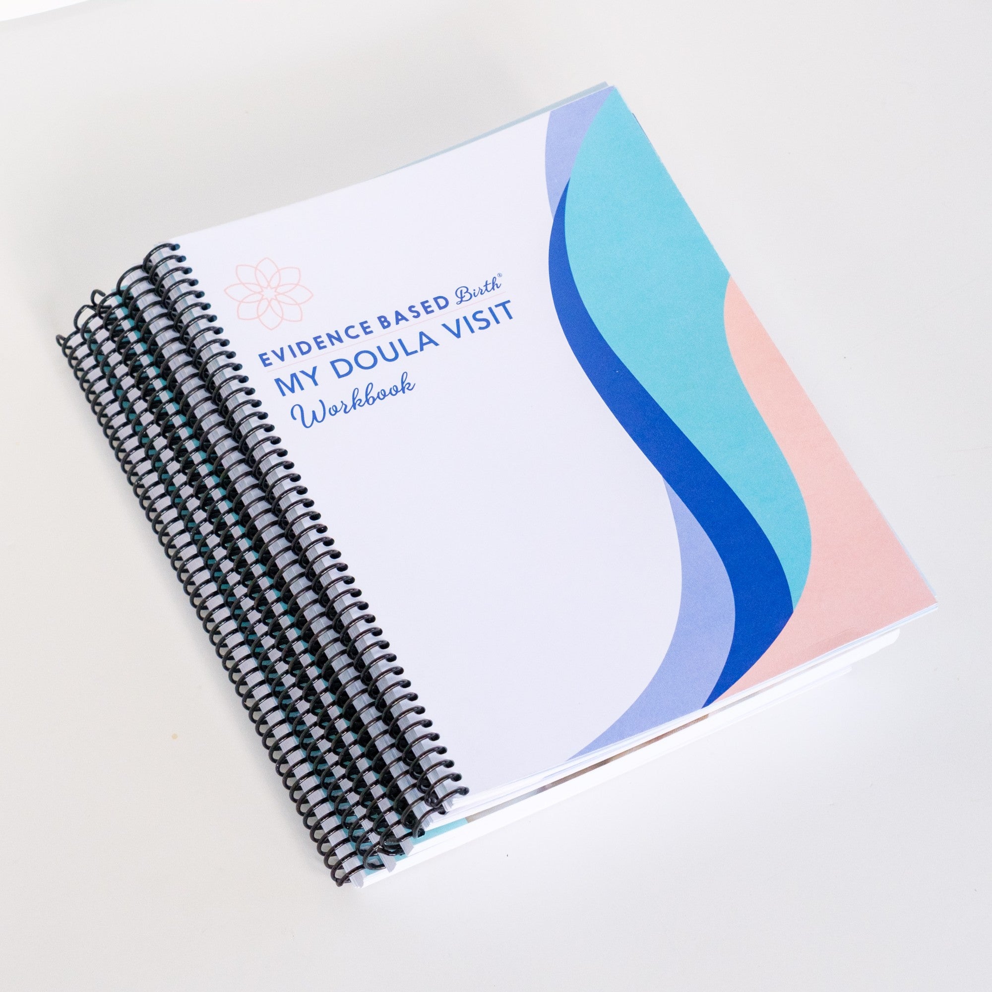 My Doula Visit Workbook