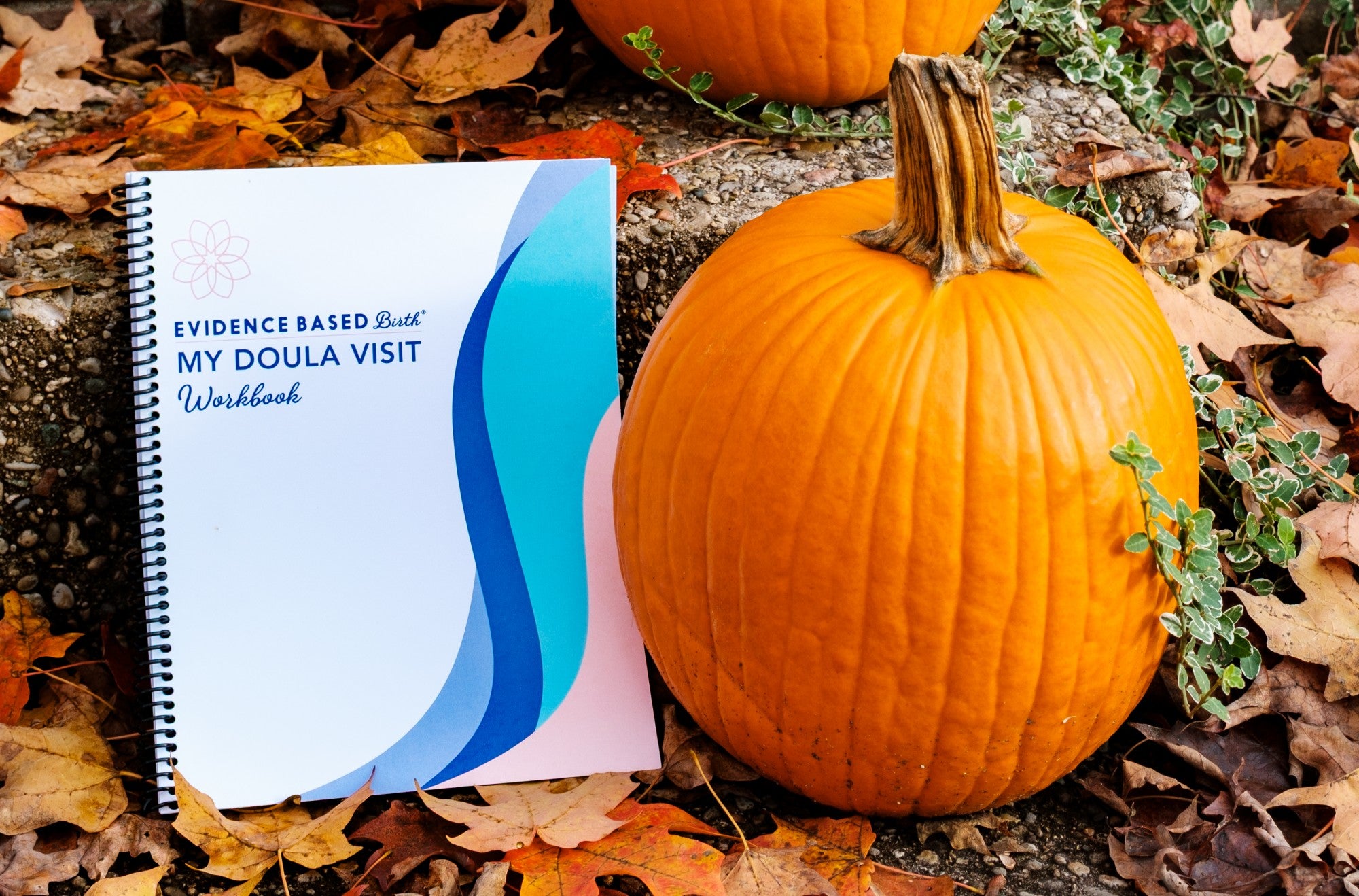 My Doula Visit Workbook