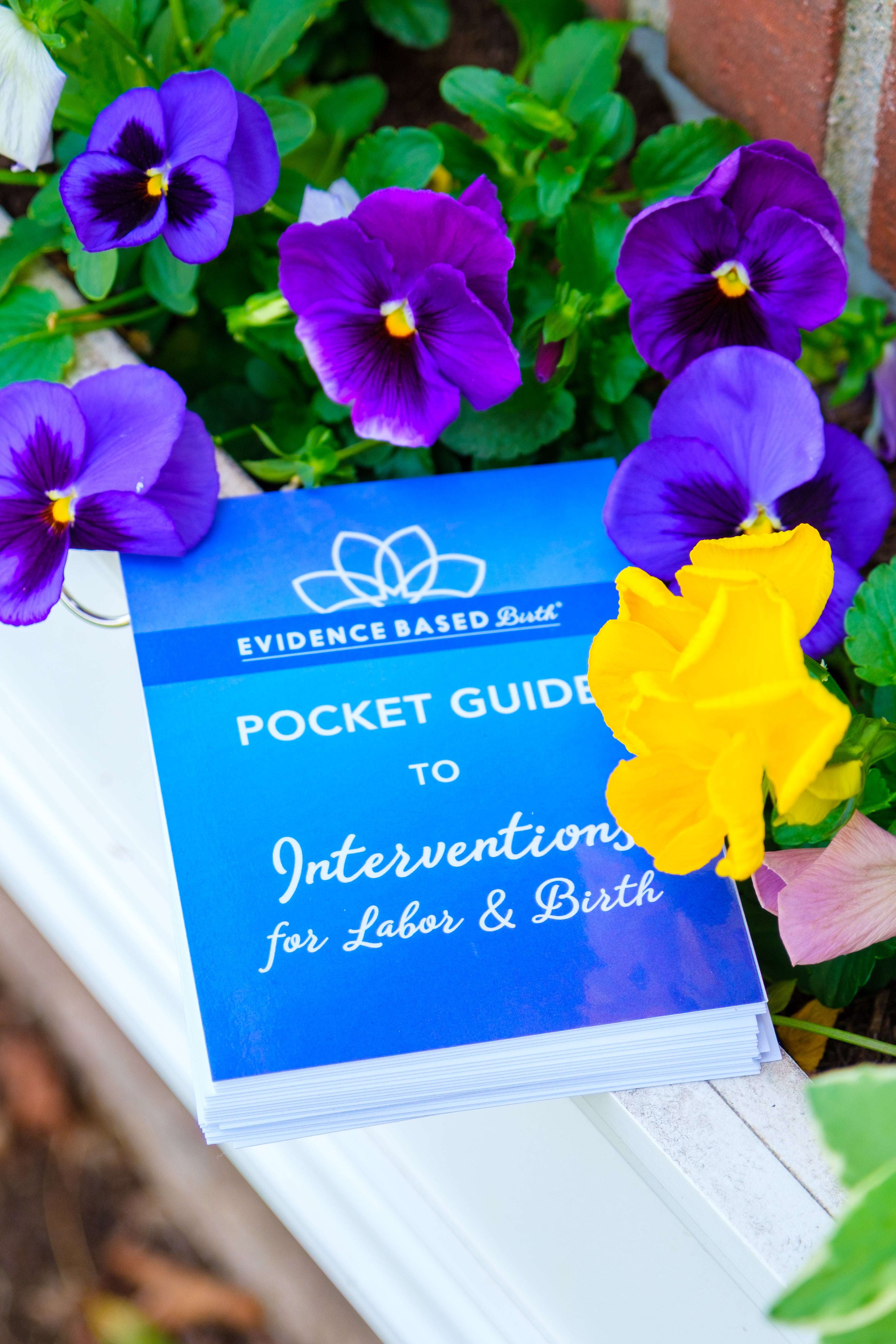 Evidence Based Birth® Pocket Guides